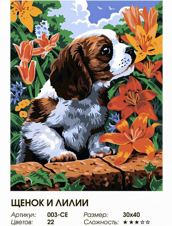 Картина по номерам «Щенок и лилии» — картинка 2