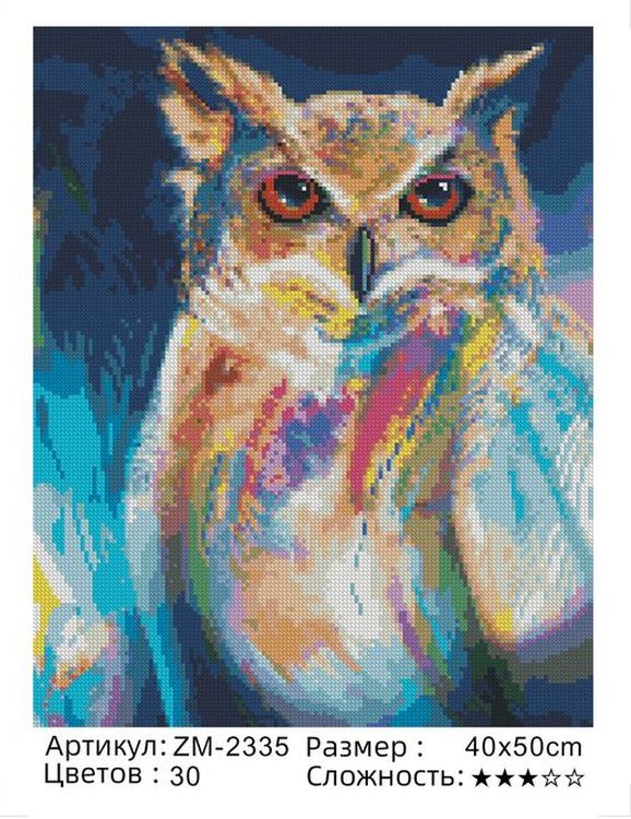 Алмазная вышивка «Красочная сова» — картинка 2