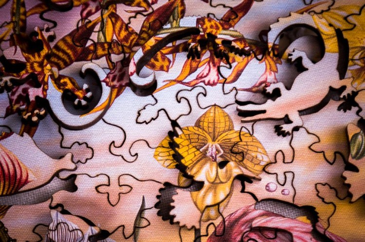 Деревянные пазлы DAVICI «Великое искусство света и тени» — картинка 4