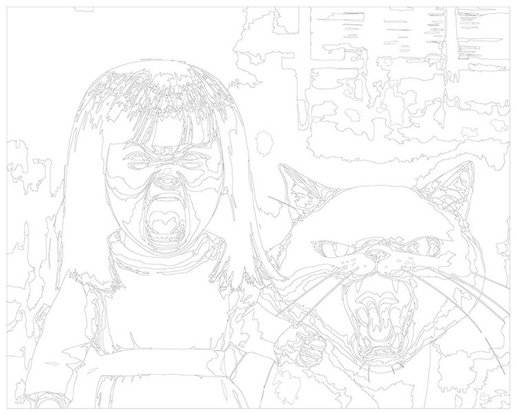 Картина по номерам «Кричащие девочка и белый кот» — картинка 3