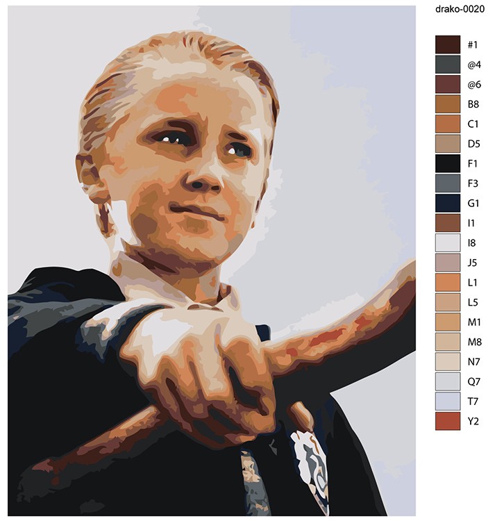 Картина по номерам «Гарри Поттер: Драко Малфой с метлой» — картинка 2