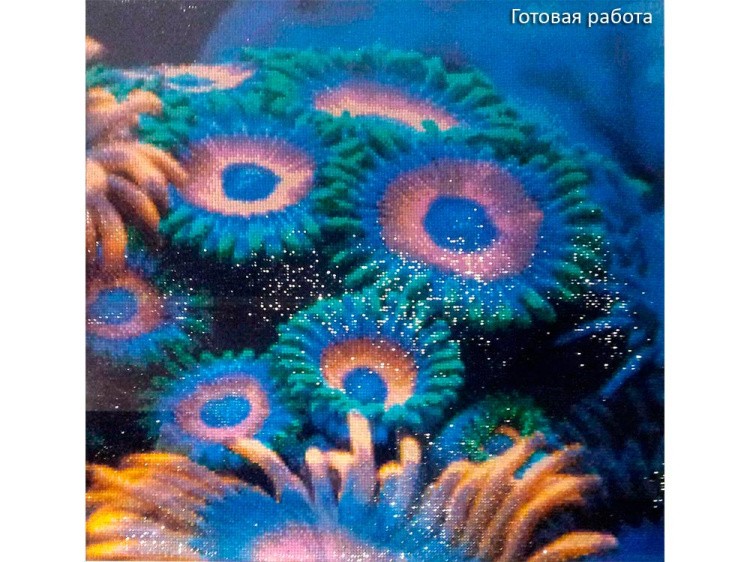 Алмазная вышивка «Коралл» — картинка 2