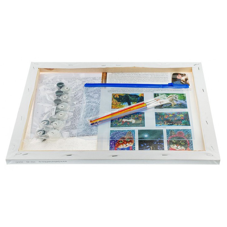 Картина по номерам «Спешу домой» — картинка 3