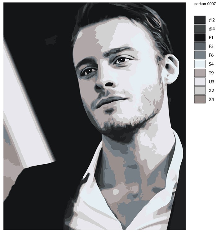 Картина по номерам «Постучись в мою дверь: Серкан Болат» — картинка 2