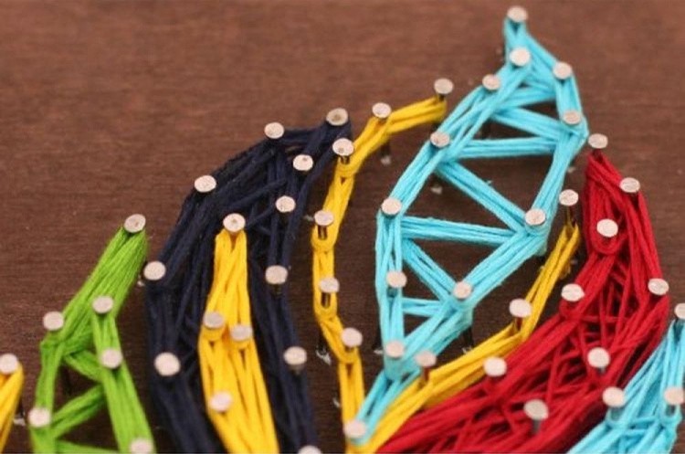 Набор для творчества STRING ART «Разноцветное пёрышко» — картинка 2