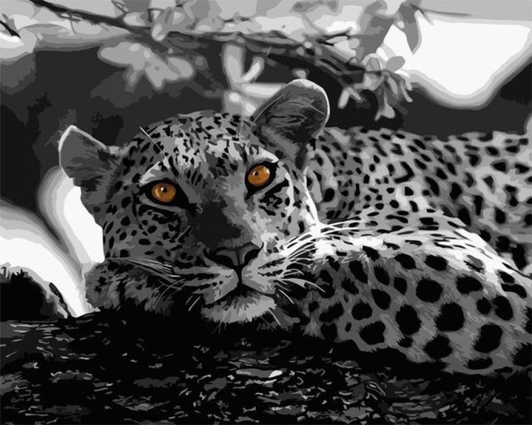 Картина по номерам «Леопард на дереве»