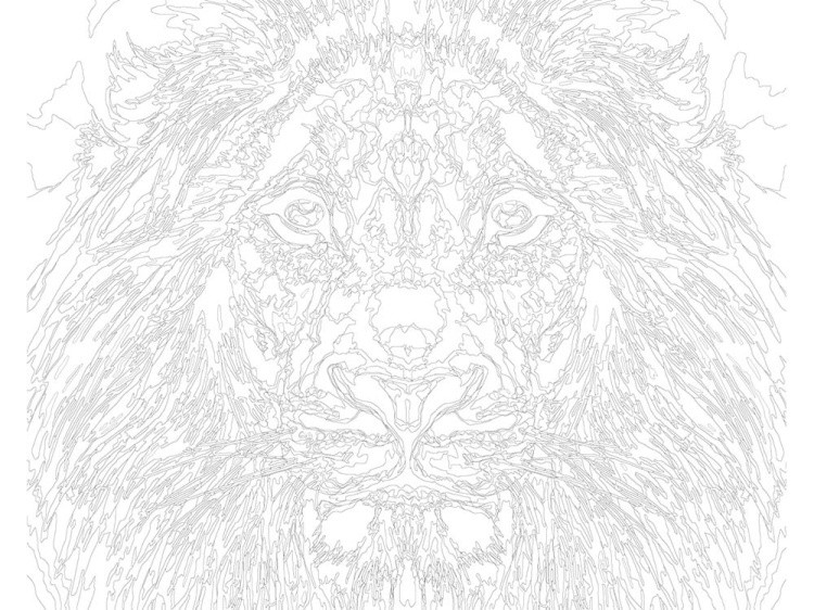 Картина по номерам «Царственный» — картинка 3