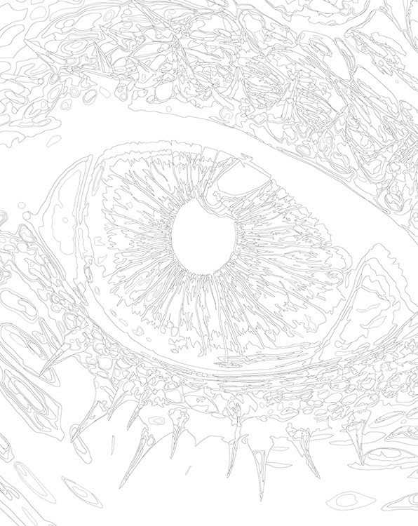 Картина по номерам «Зеленый глаз дракона» — картинка 3