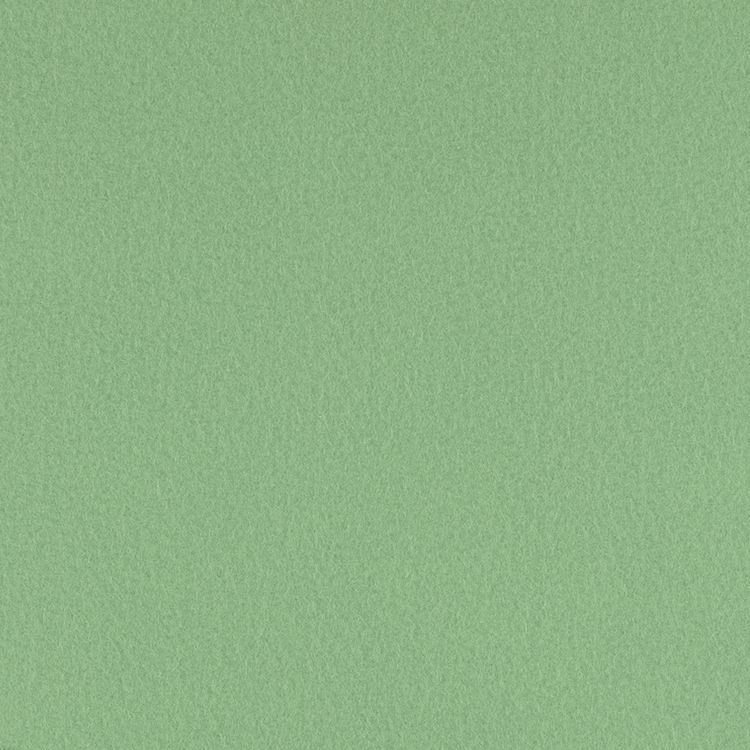 Фетр Premium декоративный, мягкий, 1 мм, 33х53 см ± 2 см, 1 шт., цвет: RN47 бледно-зеленый, Gamma