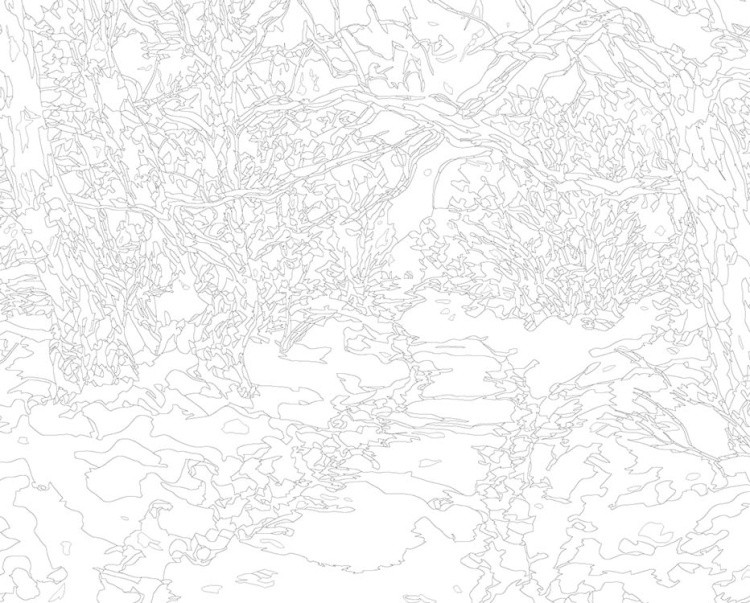 Картина по номерам «Зима: Пейзаж с дорожкой в заснеженном лесу» — картинка 3