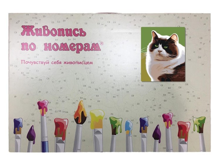 Картина по номерам «Черно-белый толстый котик» — картинка 5