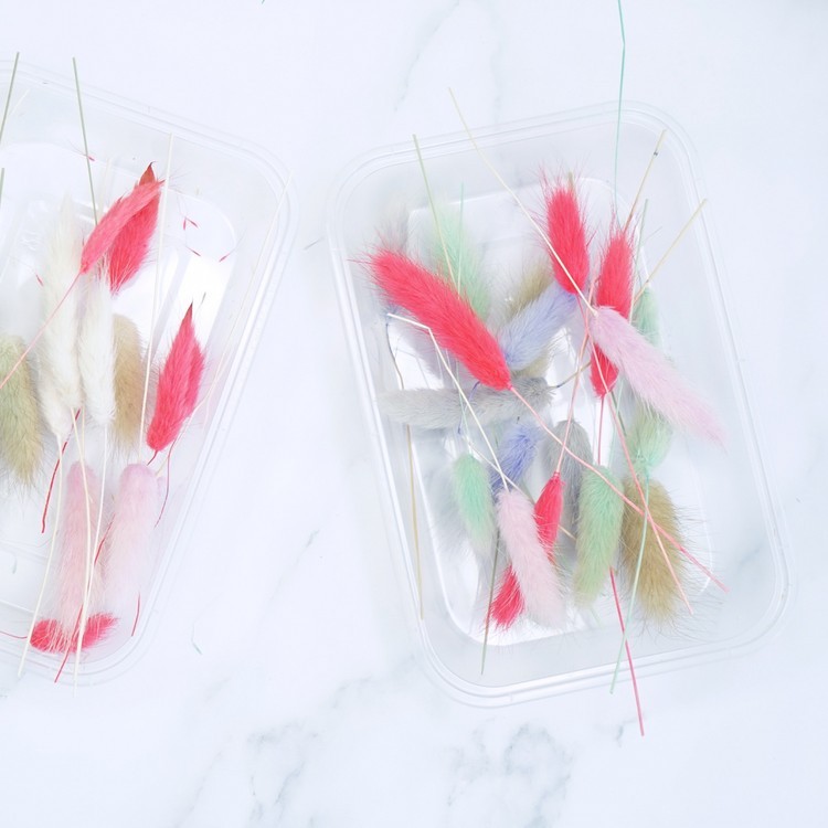 Сухоцветы Лагурус, 1 упаковка — картинка 3