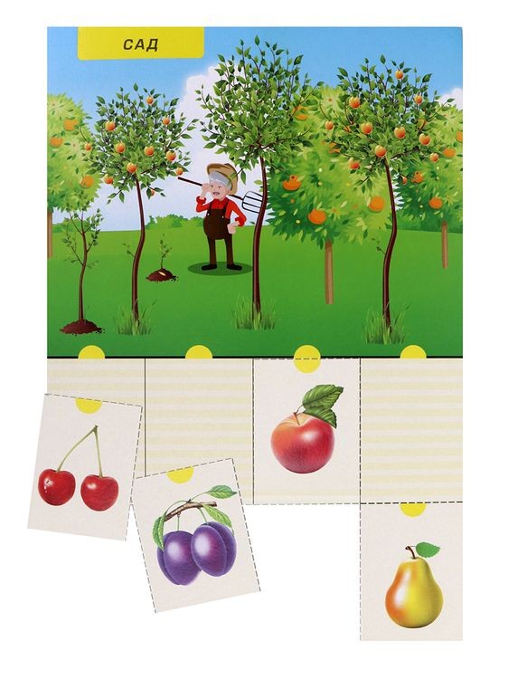 Первые уроки «Что где растет?» — картинка 5