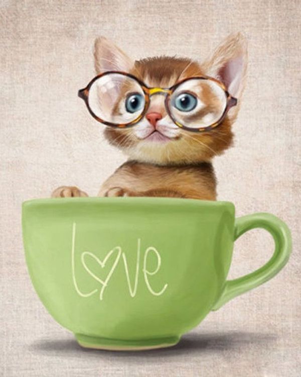 Алмазная вышивка «Милый кот» — картинка 2