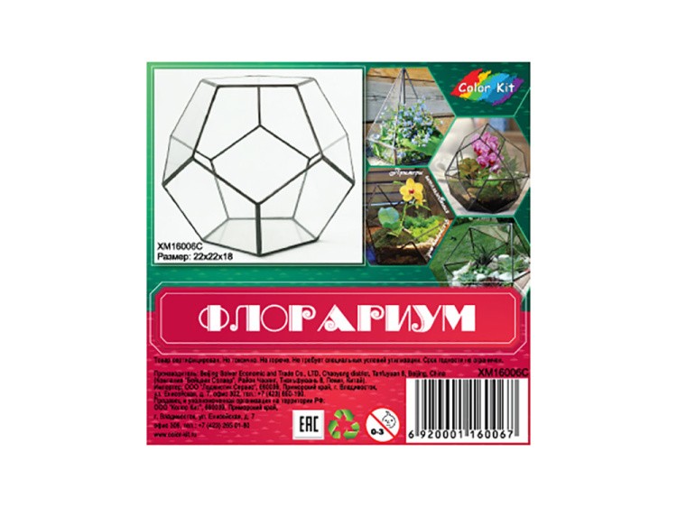 Флорариум додекаэдр большой — картинка 7