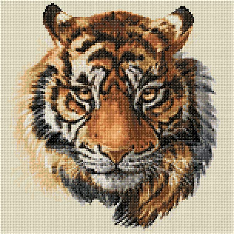 Алмазная вышивка «Дикий хищник» — картинка 2