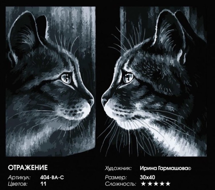 Картина по номерам «Отражение» — картинка 2