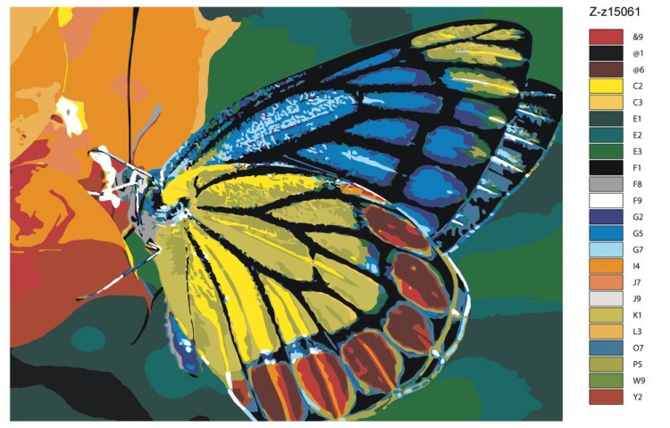 Картина по номерам «Бабочка» — картинка 2