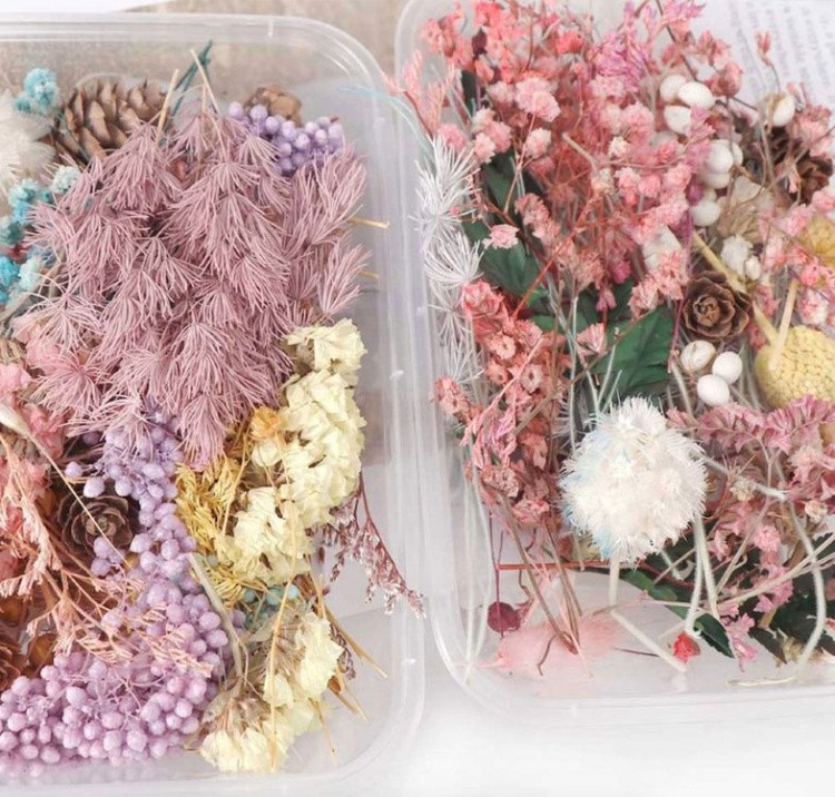 Набор сухоцветов, 1 упаковка — картинка 3
