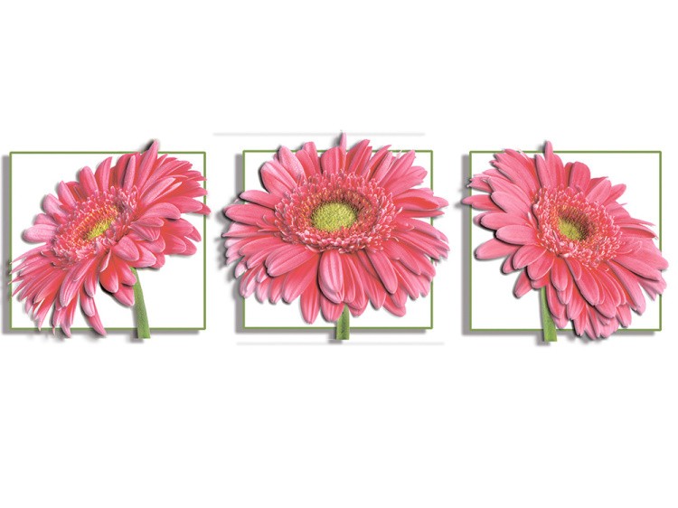 Папертоль «Гербера», часть 2 — картинка 3