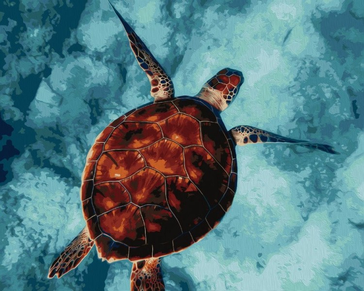 Картина по номерам «Морская черепаха»