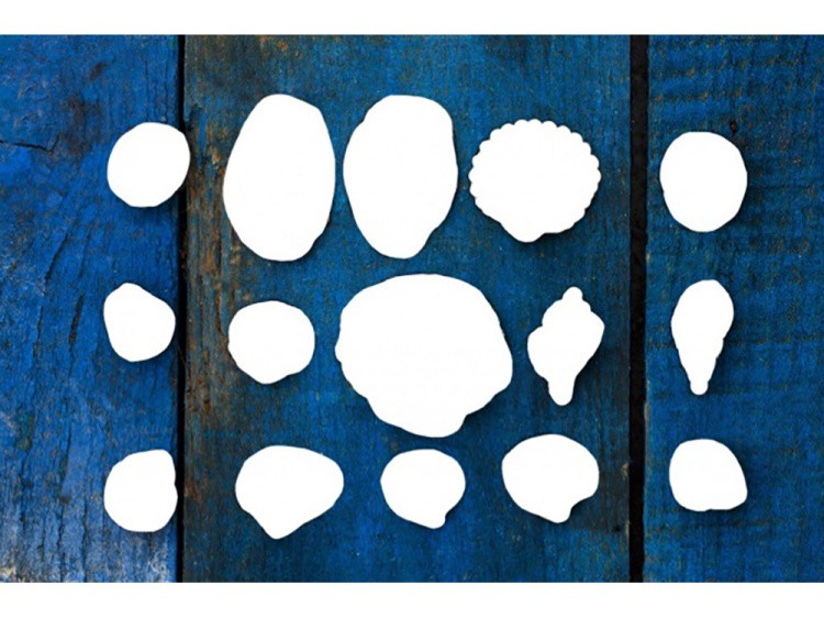 Алмазная вышивка «Летнее настроение» — картинка 2