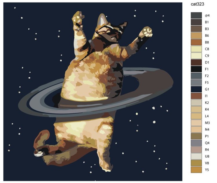 Картина по номерам «Танец в космосе» — картинка 2