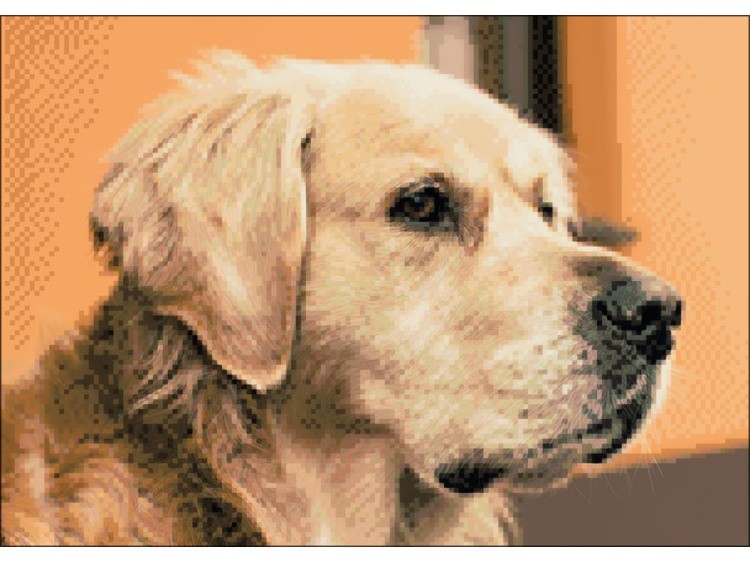 Алмазная вышивка «Лабрадор» — картинка 2