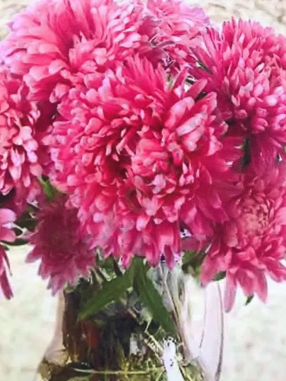 Вышивка лентами «Розовые астры» — картинка 7