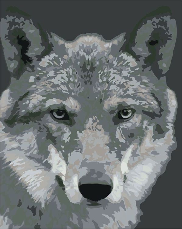 Картина по номерам «Чёрно-белый волк»