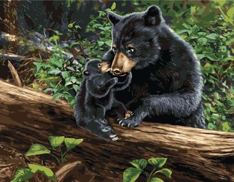 Картина по номерам «Медведица с медвежонком»