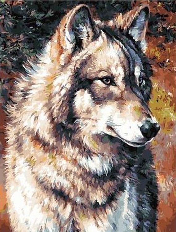 Картина по номерам «Серый волк»