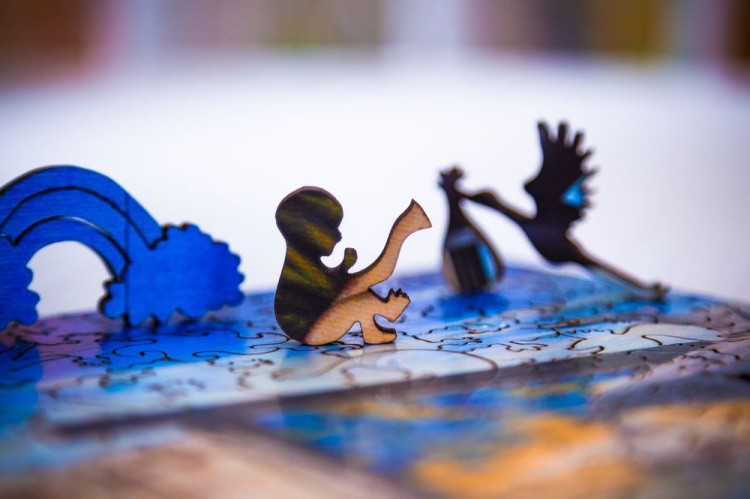 Деревянные пазлы DAVICI «Цветок в душе» — картинка 6