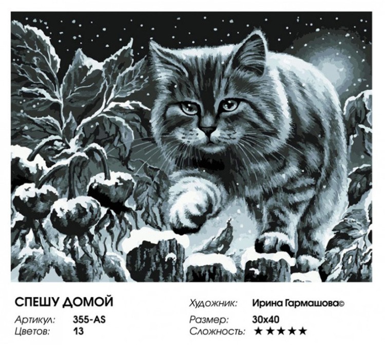 Картина по номерам «Спешу домой» — картинка 2