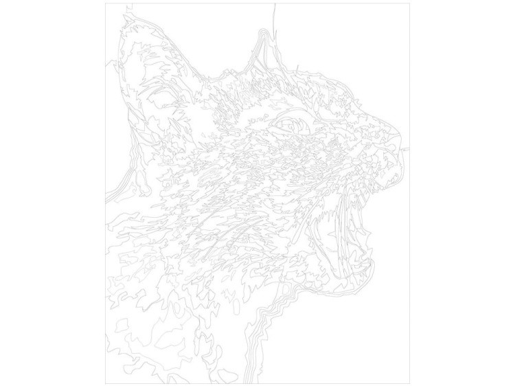 Картина по номерам «Кошачье мяу» — картинка 3