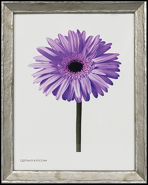 Рамка для картин «Viola», 40x50 см — картинка 4