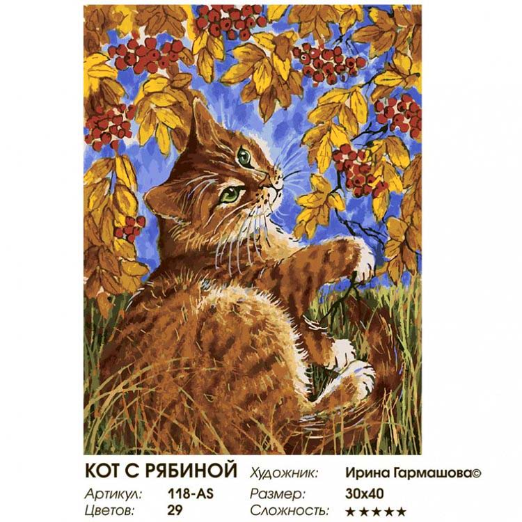Картина по номерам «Кот с рябиной» — картинка 2