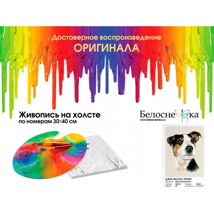 Картина по номерам «Джек-рассел-терьер» — картинка 4