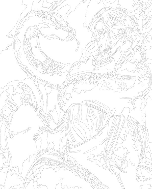 Картина по номерам «Гарри Поттер: Гермиона, змея арт 40x50» — картинка 3