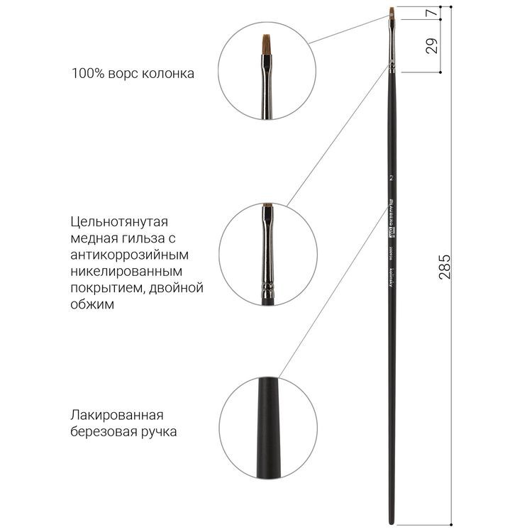 Кисть художественная профессиональная Art Classic, колонок, плоская, № 2, длинная ручка, Brauberg — картинка 4