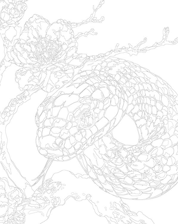 Картина по номерам «Зеленая змея и сакура, животные 40x50» — картинка 3