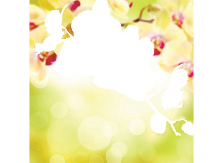 Алмазная вышивка «Нежная орхидея» — картинка 2