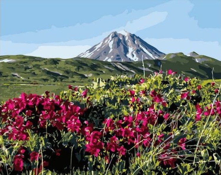 Картина по номерам «Цветочные луга под горой»