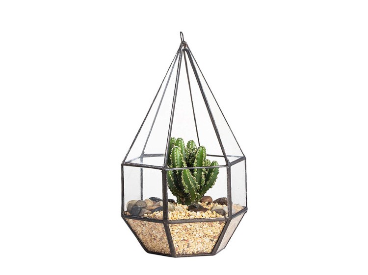 Флорариум капля-1 — картинка 4