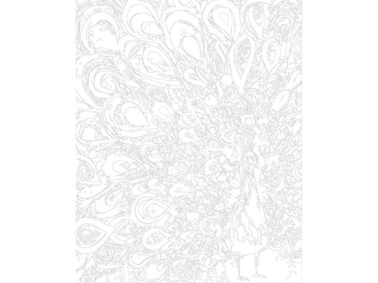 Картина по номерам «Цветастый павлин» — картинка 3