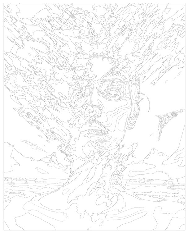 Картина по номерам «Абстрактный портрет девушки с птицами» — картинка 3