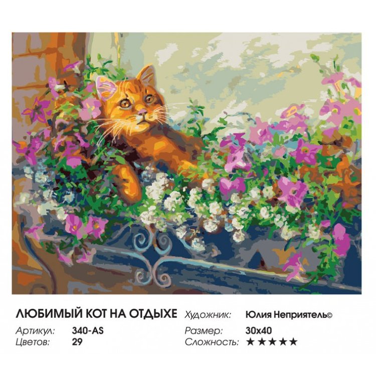 Картина по номерам «Любимый кот на отдыхе» — картинка 2