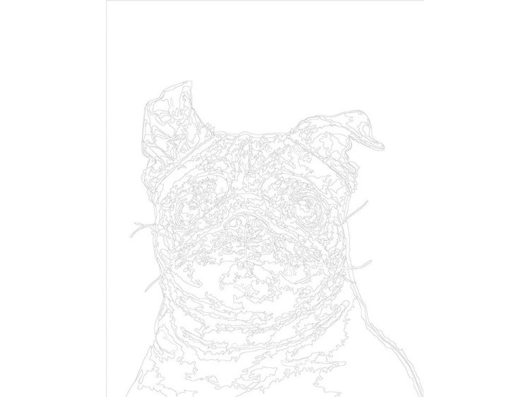 Картина по номерам «Весёлый мопс» — картинка 3