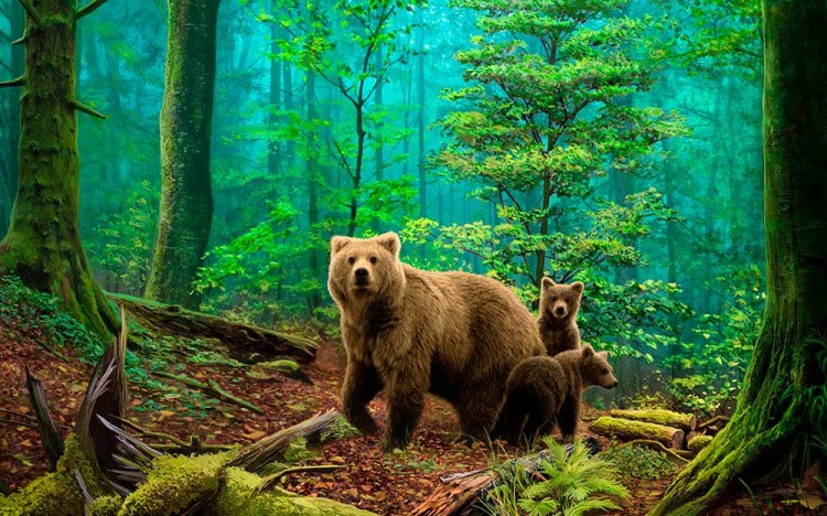 Алмазная вышивка «Медведи в лесу»