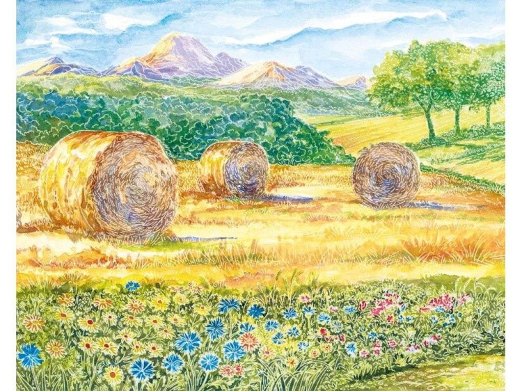 Картина акварелью по контурам «Прованс» — картинка 3